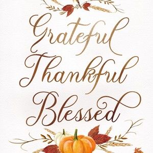 Meet your Posher, Sheryle -*